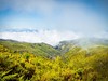 nahorni_plosina_Paul_da_Serra_madeira_spurek (4).jpg